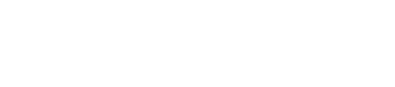 Nego Consulting